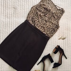 Ann Taylor Loft Business Casual Dress